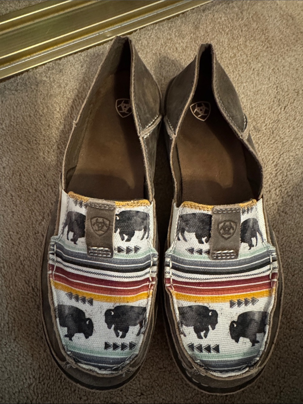 Buffalo Print Canvas Slip-On Shoes in Brown & Multicolor